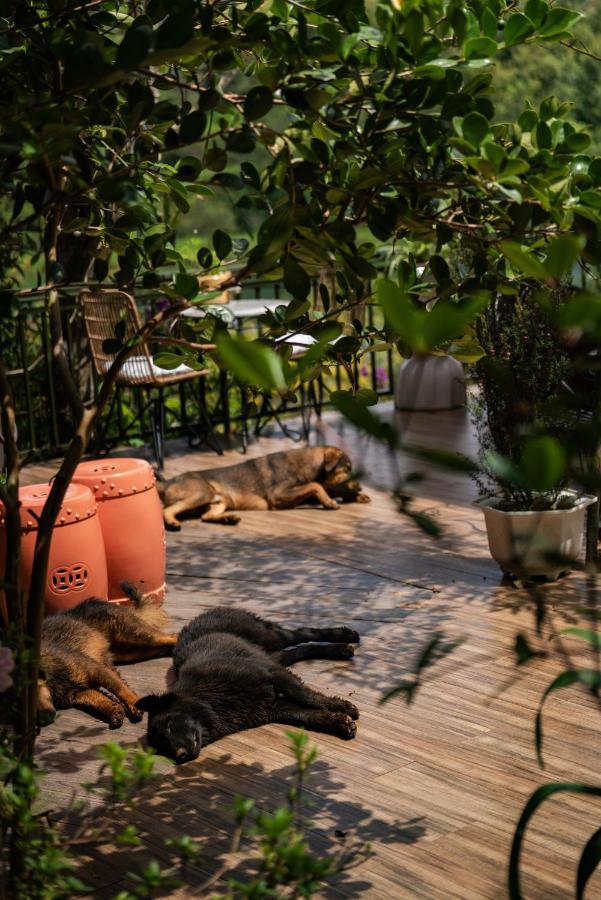 Zen Cafe Lakeside Da Lat Exterior foto